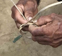 រូបលេខ២៩
