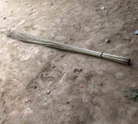រូបលេខ៣០