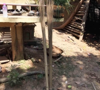 រូបលេខ៣១