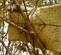  រូបលេខ២