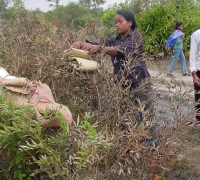  រូបលេខ៣