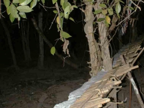 រូបលេខ១០