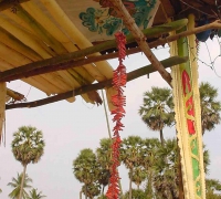 រូបលេខ២៦
