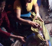 រូបលេខ៧