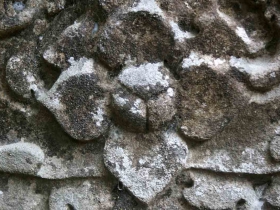 រូបលេខ១៤