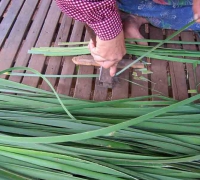 រូបលេខ៥