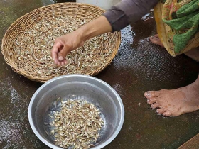 រូបលេខ១
