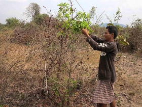 រូបលេខ២