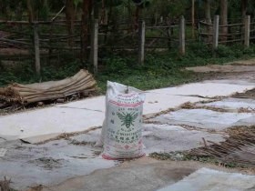 រូបលេខ២០