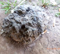 រូបលេខ៣