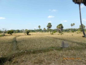 រូបលេខ៤