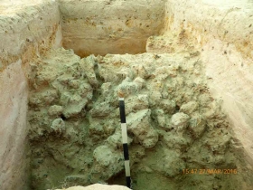 រូបលេខ៨