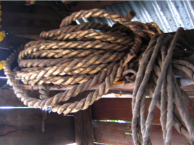 រូបលេខ២