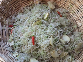 រូបលេខ១១