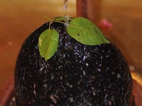 រូបលេខ១