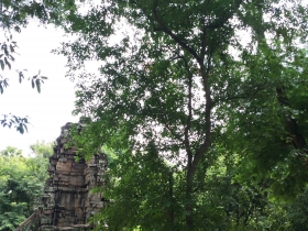 រូបលេខ១២