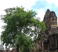 រូបលេខ១៦