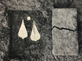 រូបលេខ២០