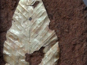 រូបលេខ២៧