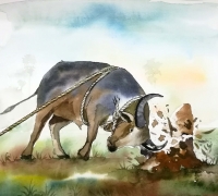 រូបលេខ៤