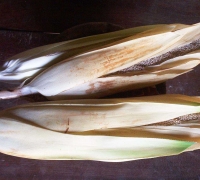 រូបលេខ១