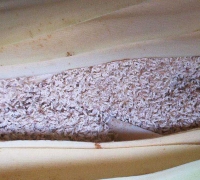 រូបលេខ២