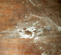 រូបលេខ៣