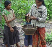 រូបលេខ១