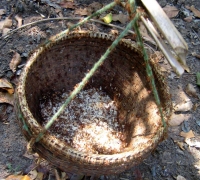 រូបលេខ៦