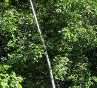 រូបលេខ៣