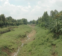 រូបលេខ២