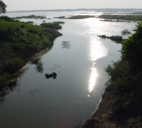 រូបលេខ៤