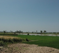 រូបលេខ៦