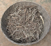 រូបលេខ៧