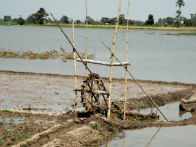 រូបលេខ១