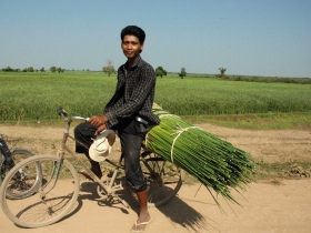 រូបលេខ៦