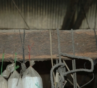 រូបលេខ១