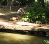 រូបលេខ៣