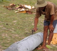 រូបលេខ៦