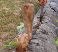 រូបលេខ៧