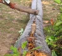 រូបលេខ៨