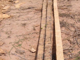 រូបលេខ១១