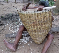 រូបលេខ៨