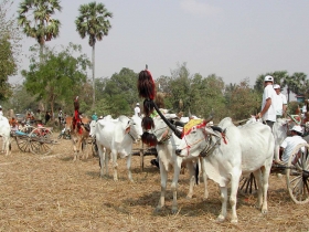 រូបលេខ១