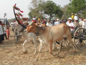 រូបលេខ២