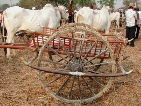 រូបលេខ៤