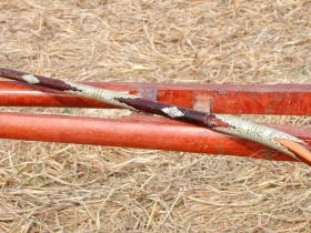 រូបលេខ១១
