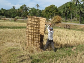 រូបលេខ៨