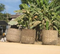 រូបលេខ៣