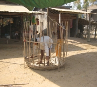 រូបលេខ៥